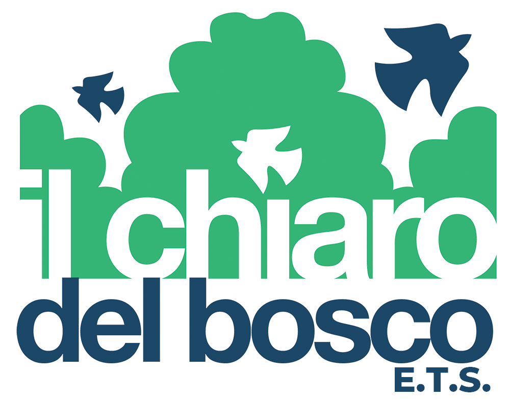 Homepage Il Chiaro Del Bosco