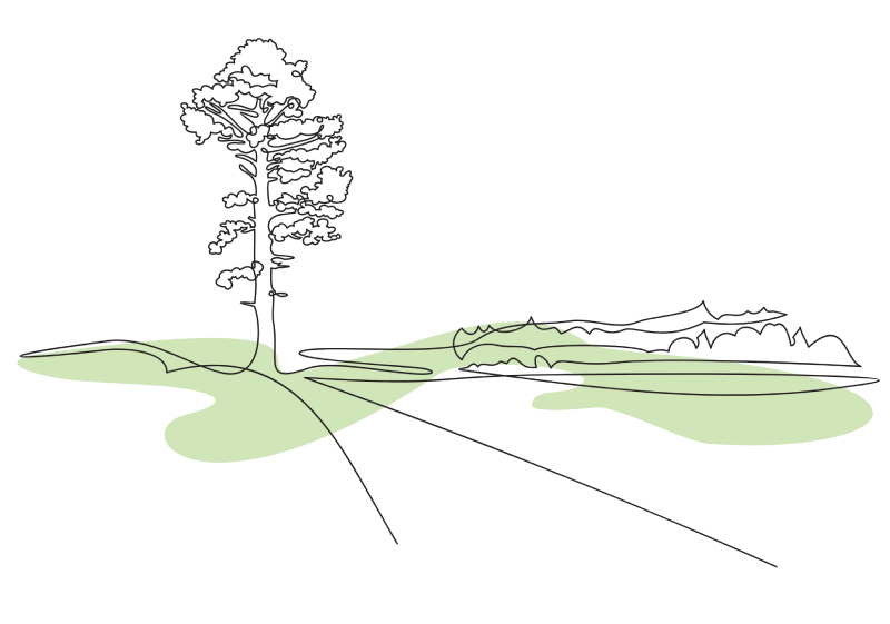 Paesaggio albero progetto "paesaggi di cura"