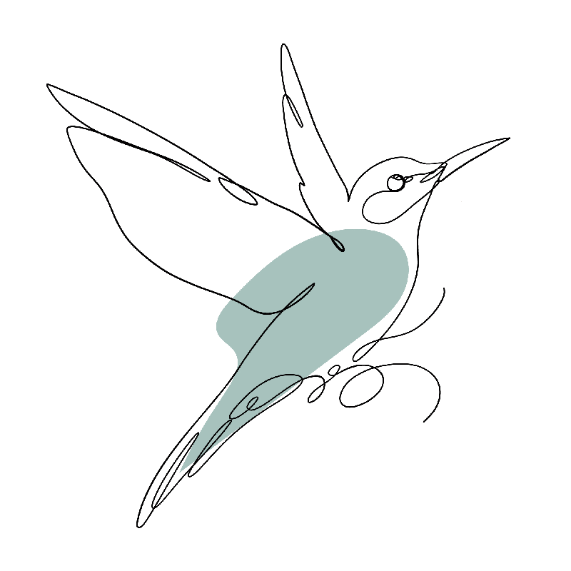 pettirosso percorsi di empowerment